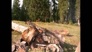 Natural Sounds Wood-Burning on Camp Fire