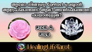 ആരോ നിങ്ങളെ Contact ചെയ്യാൻ ആഗ്രഹിക്കുന്നു. ആരാണ്? എന്താണ് അവർക്ക് പറയാനുള്ളത്? #lovetarot #tarot