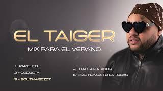 El Taiger - Mix Verano 2024 (Oficial)