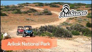 ARIKOK NATIONAL PARK | Arubiana UTV & Buggy rental in Aruba