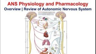 PHARMACOLOGY Autonomic nervous system introduction with all important stuff part 1