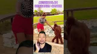 MENIKAHLAH DENGANKU CANTIK!!??? #comedy #zoo #funny #animals #monkey