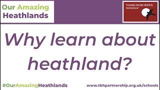 Our Amazing Heathlands - Why Learn About Heathland?