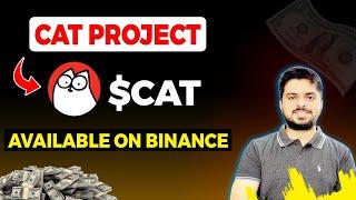 Cat Coin on Binance | New Binance Cat Coin Update & Analysis