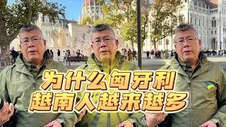 为什么匈牙利越南人越来越多？#匈牙利 #布达佩斯 #匈牙利移民