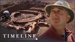 What Is It Like To Be A Paleontologist | Dinosaur Hunt: A Time Team Special | Timeline