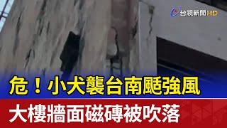 危！小犬襲台南颳強風 大樓牆面磁磚被吹落