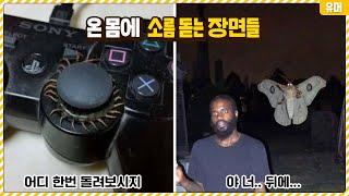 와 닭살 미쳤다;; 보자마자 온 몸에 소름돋는 장면들ㄷㄷ