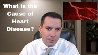 Is This The Root Cause of Heart Disease?