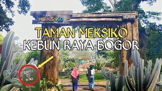 TAMAN MEKSIKO KEBUN RAYA BOGOR || KONDISI TERKINI || WISATA BOGOR