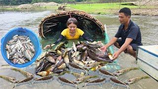Girl Builds Bamboo Trap, Catches Tons of Fish in River