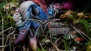 Thrill Chasers TV Episode 5 - DANNY STRUGGLES TO FILL A TURKEY TAG WITH HIS BOW.