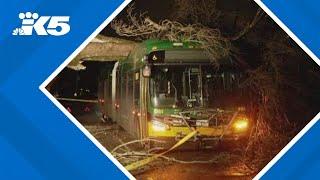 Tree crashes onto Metro bus in Wedgewood