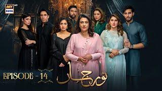 Noor Jahan Episode 14 | 12 July 2024  (English Subtitles) ARY Digital Drama