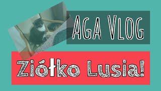 Aga Vlog: Lusia rozrabia!