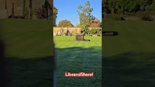 Subscribe! #amazing #garden #shortvideo #trending #shortsfeed