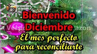 Bienvenido Diciembre  Hola a El mes mas hermoso del año  Bendecido Día