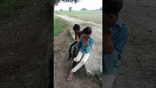 short video comedy  Bkdhamal video