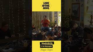 Magia negra - Live at the Hive - Hedvanio and the Bojangles