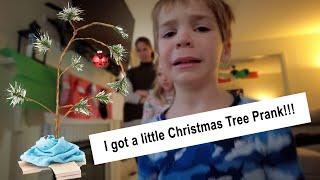 I got a little Christmas tree!  Family Christmas Prank