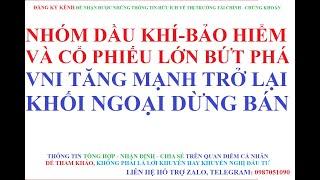 NHÓM DẦU KHÍ - BẢO HIỂM VÀ CỔ PHIẾU LỚN BỨT PHÁ, VNI TĂNG MẠNH TRỞ LẠI, KHỐI NGOẠI DỪNG BÁN