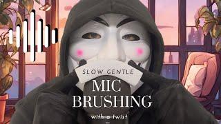 ASMR | slow, gentle, soothing mic brushing (with a twist)
