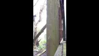 Nail gun