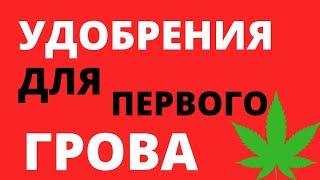 КАКИЕ УДОБРЕНИЯ НУЖНЫ ДЛЯ ГРОВА? | УДОБРЕНИЯ ДЛЯ ПЕРВОГО ГРОВА | ОТЛИЧИЕ МИНЕРАЛЬНЫХ ОТ ОРГАНИЧЕСКИХ