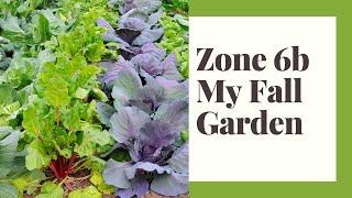 The Fall Garden Zone 6b - What I plant When - Presentation