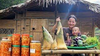 Single mother 17 years old: Harvesting bamboo shoots & Making chili bamboo shoots - Cooking