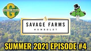 Savage Farms Summer 2021 Episode #4. Ettersburg, Humboldt County USA.