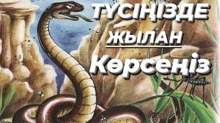 МҰСЫЛМАНША ТҮС ЖОРУ .ТҮСІҢІЗДЕ ЖЫЛАН КӨРСЕҢІЗ...