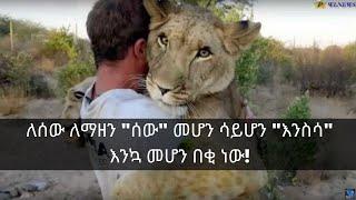 ለሚጨፈጨፋ ንፁሀን ለመቆም "ሰው" መሆን ሳይሆን "እንስሳ" እንኳ መሆን በቂ ነው!!!