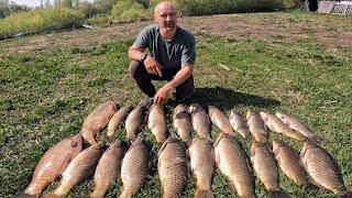 200kg OF CARP PER HOUR OR TONS OF CARP IN A PIPE Fishing spider. Fishing 2025 Fishing for spider