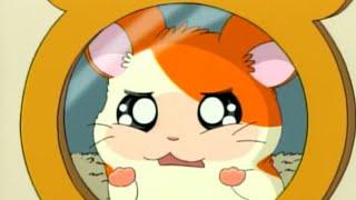 Hamtaro - Sui girasoli! :D