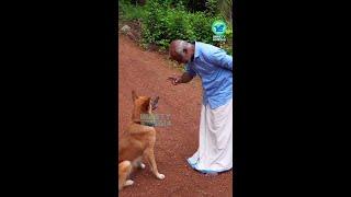 Miss u Chottu  The Most clever Dog in kerala |  Dileep Kumar | Variety Media | The Chottuz Vlog