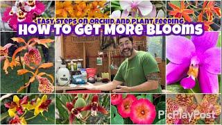 My secret to promoting more blooms year round. Quick tutorial on feeding plants for more flowers.