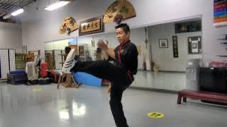 Wing Chun online lessons - Sil Lim Tao and Chum Kiu Levels