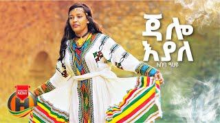 Abeba Tsehay - Jalo Eyale | አበባ ፀሃይ - ጃሎ እያለ | New Ethiopian Music 2024 (Official Video)