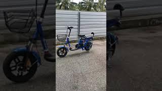 Electric Bicycle Review e-bike 电动脚车 - StonBike (Bike-Falcon) Part one