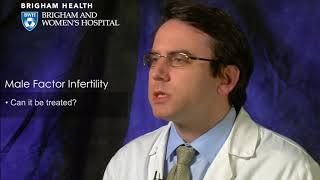 Male Factor Infertility Video – Brigham and Women’s Hospital