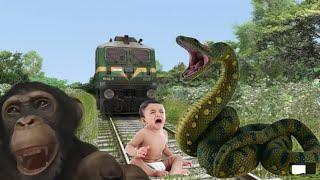 Snake & Anaconda Nagin Vs Train #shorts #youtube