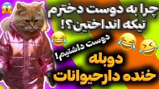 دوبله و صداگذاری خنده دار حیوانات  وظیفته ظرف هارو بشوری!! مهریه منو بده