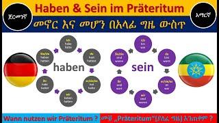 German-Amharic | Haben & Sein im Präteritum | መኖር እና መሆን በአላፊ ግዜ ውስጥ