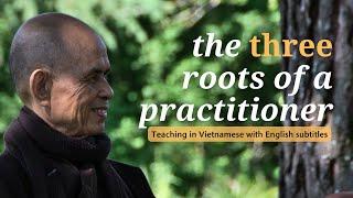 The THREE Important Roots of a Practitioner | Teaching by Thich Nhat Hanh (EN subtitles)