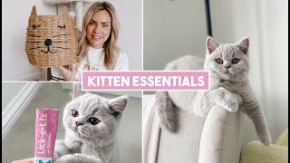 HUGE KITTEN HAUL, PREPARING FOR OUR BRITISH SHORTHAIR KITTEN  WHAT TO BUY AND WHAT WE USE THE MOST