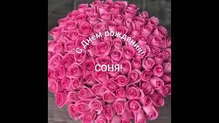 С Днём рождения,Соня!!!