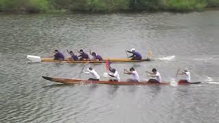 แข่งเรือพื้นบ้าน แข่งเรือหาปลา แข่งเรือพื้นบ้านราษีไศล แข่งเรืออำเภอราษีไศล แข่งเรือท้องถิ่นราษีไศล