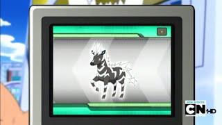 Zebstrika Pokédex Entries..wmv