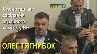 Олег Тягнибок: слово на засіданні Комітету Верховної Ради з питань аграрної та земельної політики